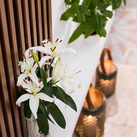 Sofi's House Apartment Rhodes City